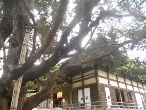 宝戒寺の本殿・本堂