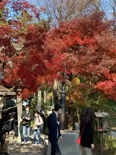 高尾山薬王院のその他建物