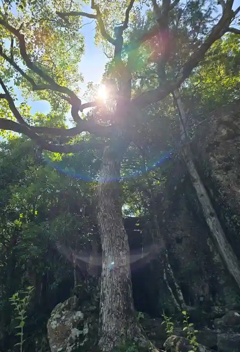 神倉神社(熊野速玉大社摂社)(和歌山県)