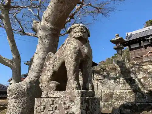 浅間神社の狛犬