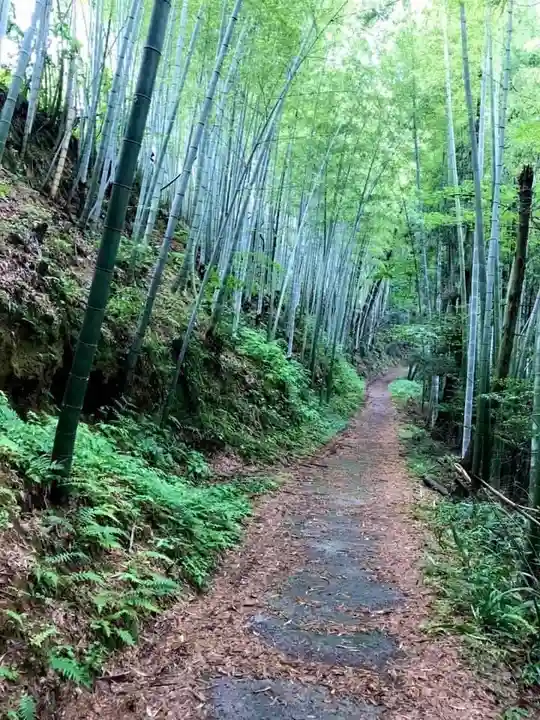 丹生都比売神社(和歌山県)