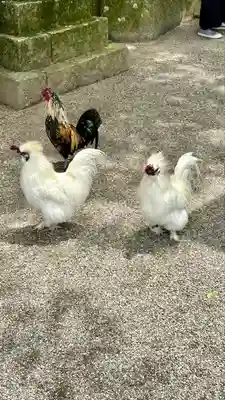 石上神宮(奈良県)