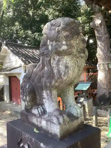 丸山神明社の狛犬