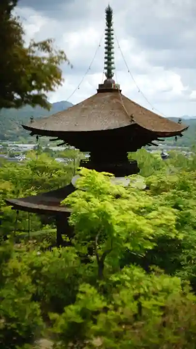 常寂光寺(京都府)