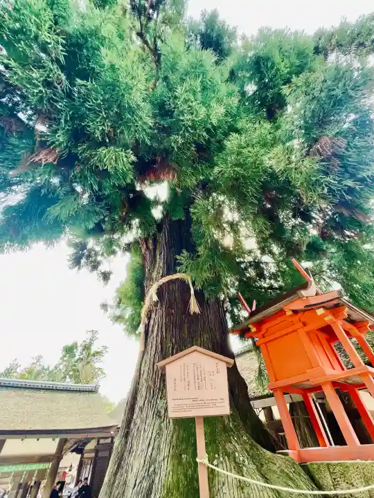 春日大社の{uncategorized: "未分類", other: "その他", undefined: "問題あり", building: "その他建物", grave: "お墓", sacred_gate: "鳥居", guardian: "狛犬", statue: "像", buddha: "仏像", history: "歴史", nature: "自然", garden: "庭園", animal: "動物", pagoda: "塔", temizu: "手水舎", mountain_gate: "山門・神門", sanctuary: "本殿・本堂", subordinate: "末社・摂社", art: "芸術", scenery: "景色", jizo: "地蔵", ema: "絵馬", goshuin: "御朱印", omikuji: "おみくじ", items: "授与品その他", amulet: "お守り", goshuincho: "御朱印帳", eats: "食事", festival: "お祭り", votive_dance: "神楽", shichigosan: "七五三参", wedding: "結婚式", experience: "体験その他", initially: "初詣", around: "周辺", anti_infection: "感染症対策"}