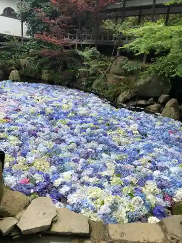 楽法寺（雨引観音）の庭園