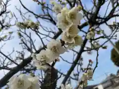 大生郷天満宮(茨城県)