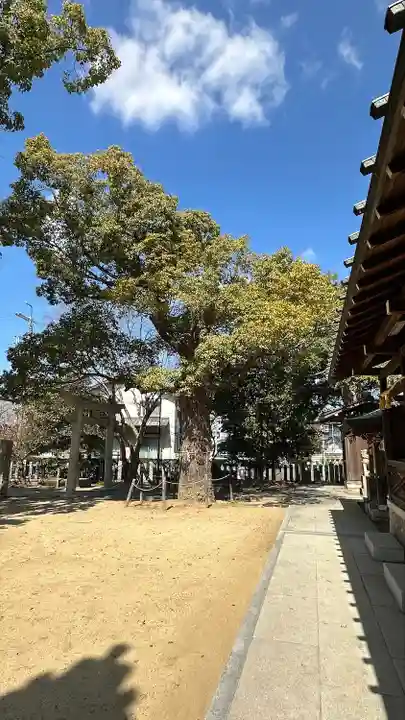 屯倉神社(大阪府)
