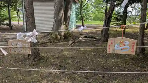 東神楽神社の絵馬