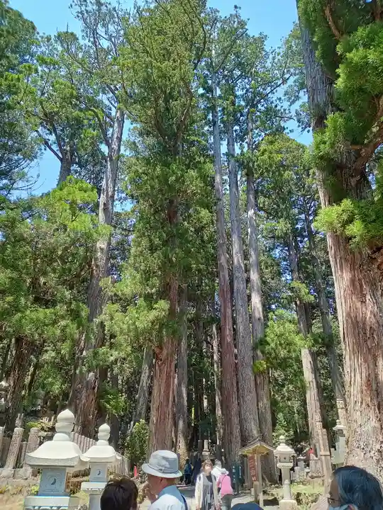 高野山金剛峯寺奥の院(和歌山県)