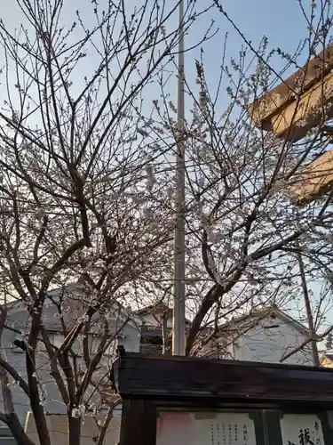 天満宮(滋賀県)