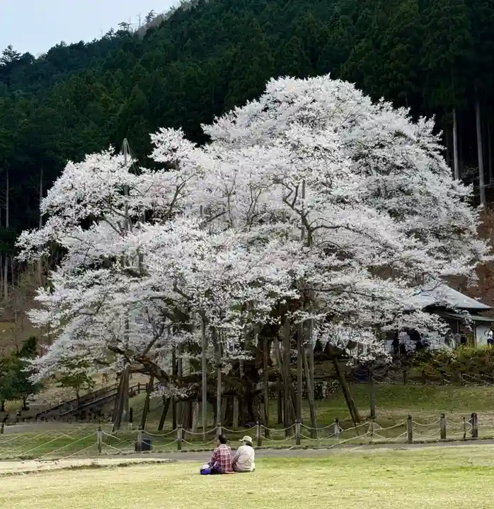 淡墨観音の御朱印