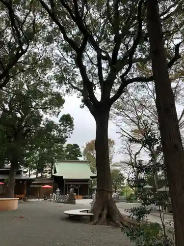 星川杉山神社の自然