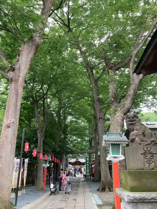 田無神社の自然