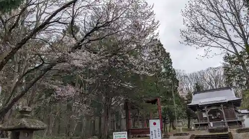 雨紛神社の自然
