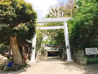 白羽神社の鳥居