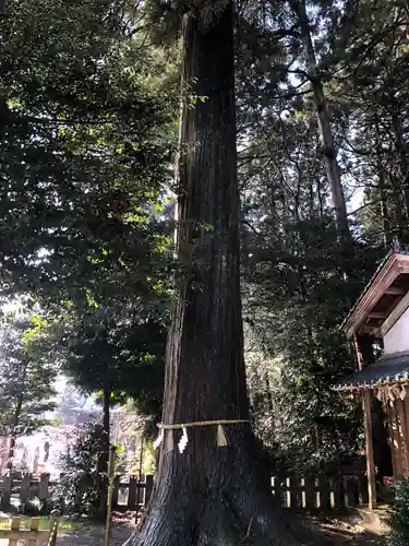 劒神社(福井県)