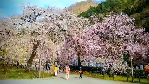 清雲寺の{uncategorized: "未分類", other: "その他", undefined: "問題あり", building: "その他建物", grave: "お墓", sacred_gate: "鳥居", guardian: "狛犬", statue: "像", buddha: "仏像", history: "歴史", nature: "自然", garden: "庭園", animal: "動物", pagoda: "塔", temizu: "手水舎", mountain_gate: "山門・神門", sanctuary: "本殿・本堂", subordinate: "末社・摂社", art: "芸術", scenery: "景色", jizo: "地蔵", ema: "絵馬", goshuin: "御朱印", omikuji: "おみくじ", items: "授与品その他", amulet: "お守り", goshuincho: "御朱印帳", eats: "食事", festival: "お祭り", votive_dance: "神楽", shichigosan: "七五三参", wedding: "結婚式", experience: "体験その他", initially: "初詣", around: "周辺", anti_infection: "感染症対策"}
