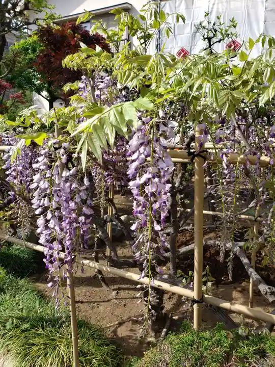 禅定院(東京都)