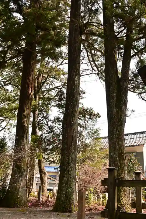 住吉神社(愛媛県)