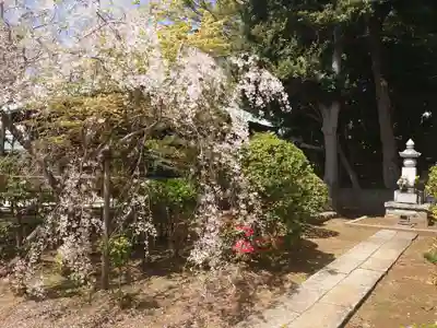 法華経寺のその他建物