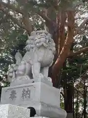 北見神社の狛犬