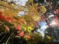 真珠院(神峯山寺塔頭)(大阪府)