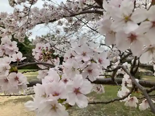 貴船神社(岡山県)