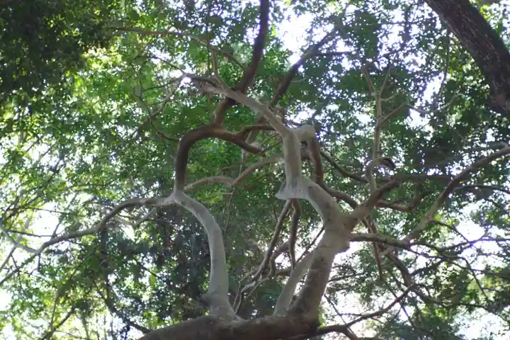 廣瀬大社(奈良県)