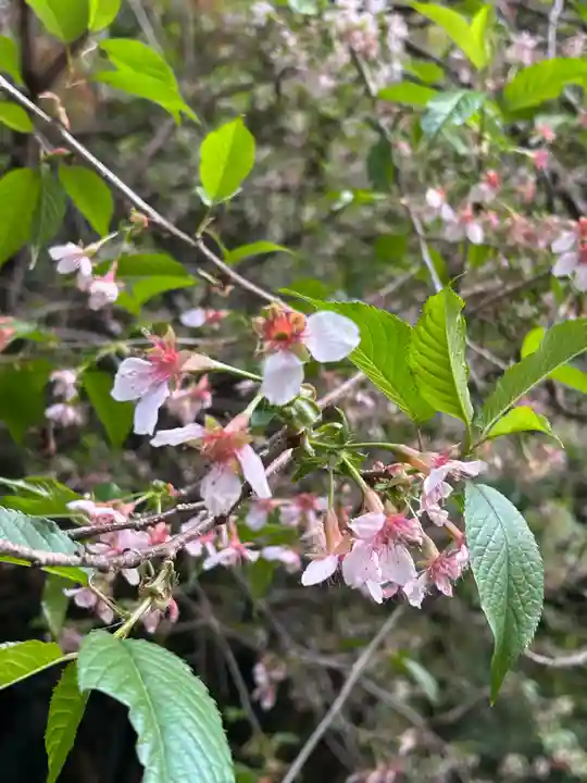 普門寺(切り絵御朱印発祥の寺)(愛知県)