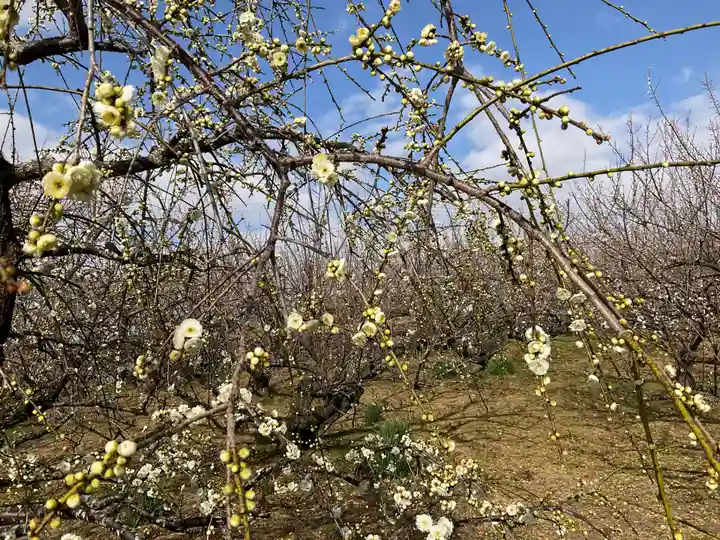 瑞雲寺(神奈川県)