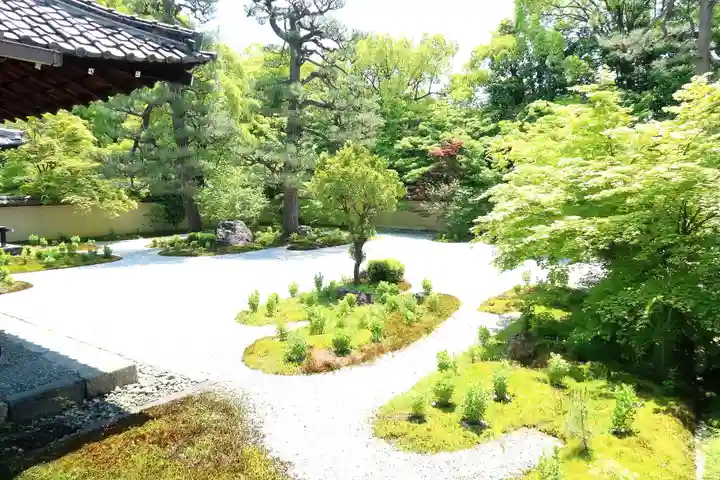 廬山寺(廬山天台講寺)の庭園