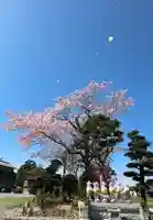 光明寺(静岡県)