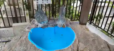 恩智神社(大阪府)