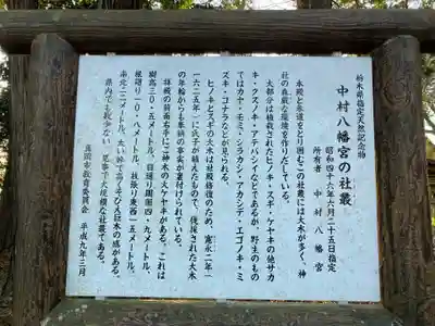 中村八幡宮(栃木県)