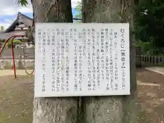 赤城神社(千葉県)