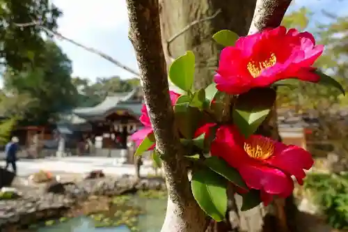 辛國神社の自然