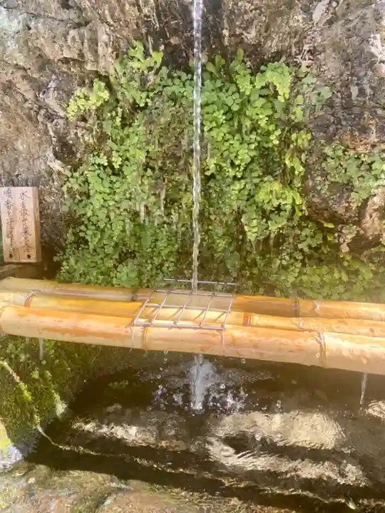 藤森神社の庭園