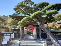 長谷寺(神奈川県)