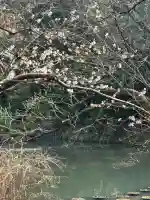 熱田神宮の{uncategorized: "未分類", other: "その他", undefined: "問題あり", building: "その他建物", grave: "お墓", sacred_gate: "鳥居", guardian: "狛犬", statue: "像", buddha: "仏像", history: "歴史", nature: "自然", garden: "庭園", animal: "動物", pagoda: "塔", temizu: "手水舎", mountain_gate: "山門・神門", sanctuary: "本殿・本堂", subordinate: "末社・摂社", art: "芸術", scenery: "景色", jizo: "地蔵", ema: "絵馬", goshuin: "御朱印", omikuji: "おみくじ", items: "授与品その他", amulet: "お守り", goshuincho: "御朱印帳", eats: "食事", festival: "お祭り", votive_dance: "神楽", shichigosan: "七五三参", wedding: "結婚式", experience: "体験その他", initially: "初詣", around: "周辺", anti_infection: "感染症対策"}