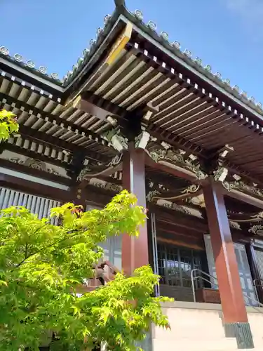 圓照寺の本殿・本堂