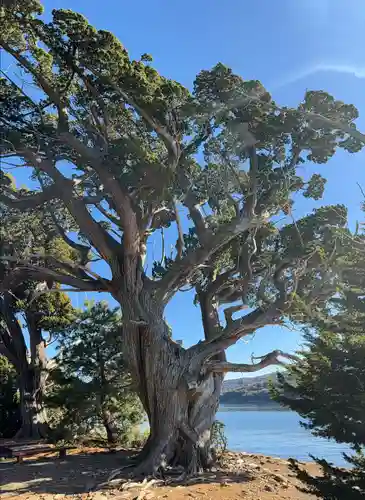 大瀬神社(静岡県)