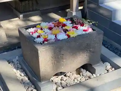 観音寺(東京都)