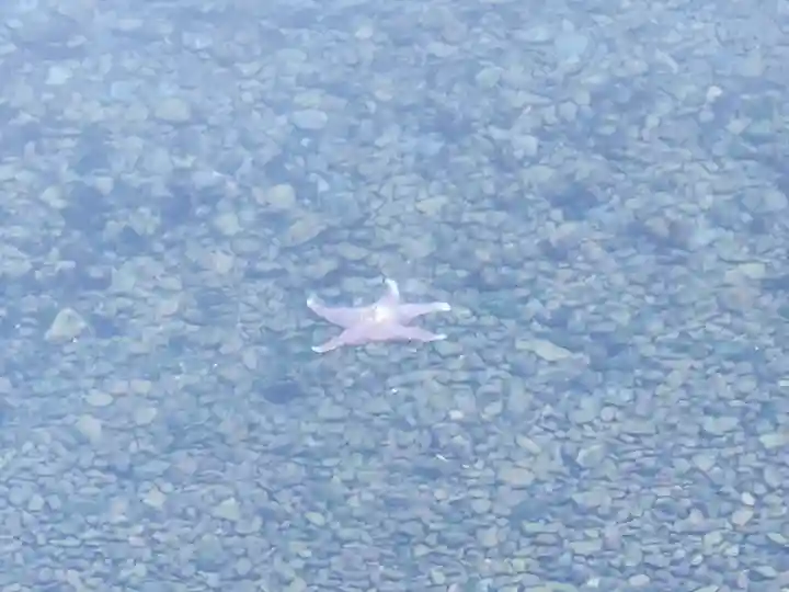 白濱神社(鹿児島県)