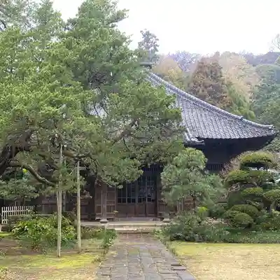寿福寺(神奈川県)