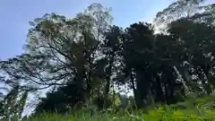 熊野神社(兵庫県)