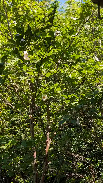 東林院(京都府)