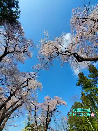 神炊館神社 ⁂奥州須賀川総鎮守⁂(福島県)