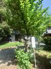 北野天神社(埼玉県)