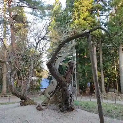 磐椅神社(福島県)